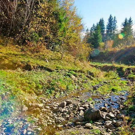 Sadyba Karpaty