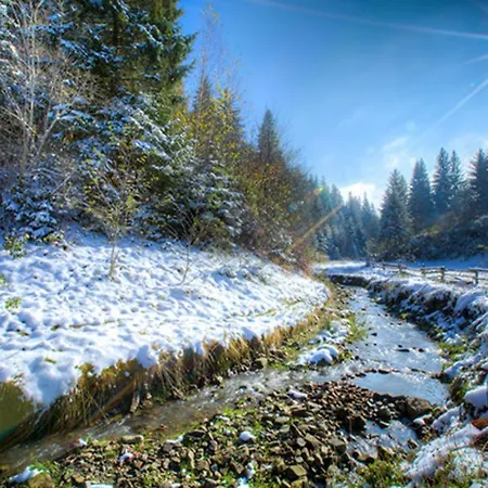 Feriehus Karpaty Mykulychyn